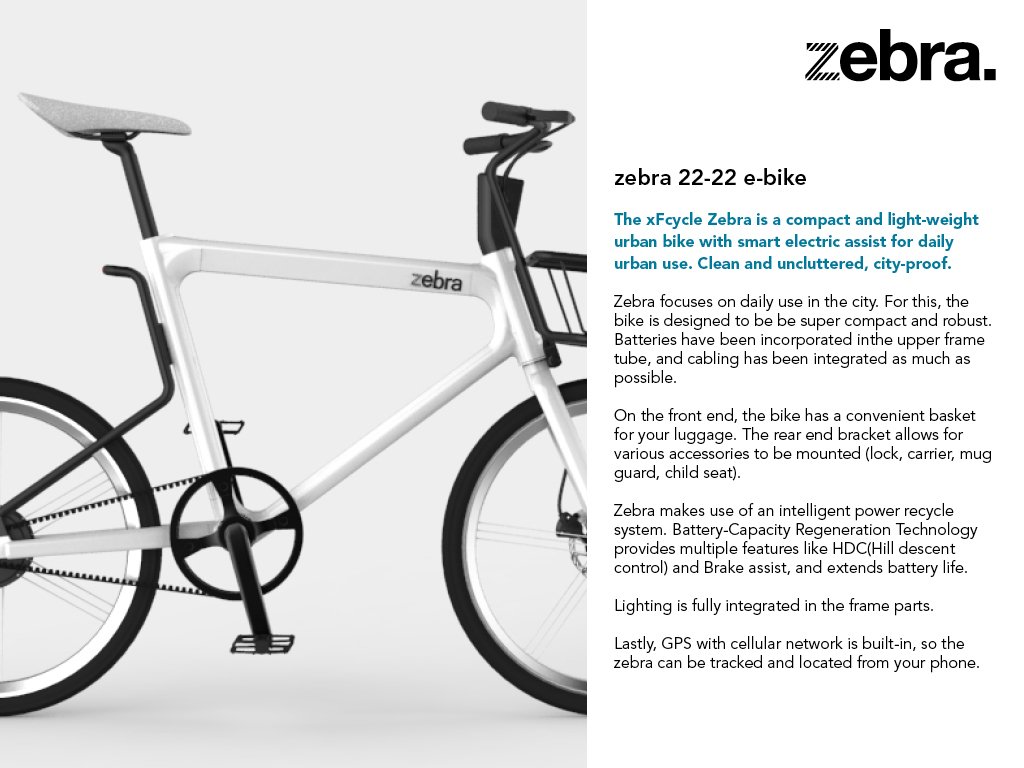 zebra e-bike